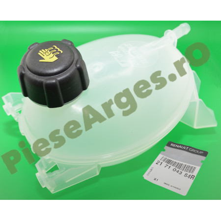 Vas Expansiune LOGAN 2, SANDERO 2, Original Renault 217104354R
