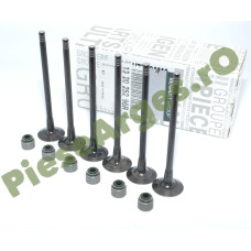Supape Evacuare Motor 1.0SCe, LOGAN 2, SANDERO 2, Originale Renault 132025296R