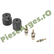 Ventile Incarcare Freon Aer Conditionat Si Capace Conducte, Originale Renault 7701205920