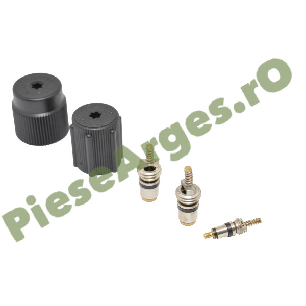 Ventile Incarcare Freon Aer Conditionat Si Capace Conducte, Originale Renault 7701205920