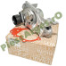 Pachet Kit Distributie Si Pompa Apa 1.2 16Valve, LOGAN 2, SANDERO 2, Original Renault 130C16776R + 210101832R