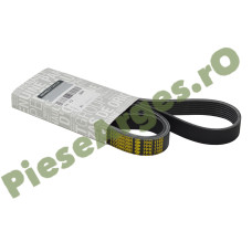 Curea Elastica Accesorii (Transmisie) Motor 1.0TCe, LOGAN 3, SANDERO 3, DUSTER 3, DUSTER 2, JOGGER, Originala Renault 117209538R Curea Elastica Accesorii (Transmisie) Motor 1.0TCe, LOGAN 3, SANDERO 3, DUSTER 3, DUSTER 2, JOGGER, Originala Renault 117209538R
