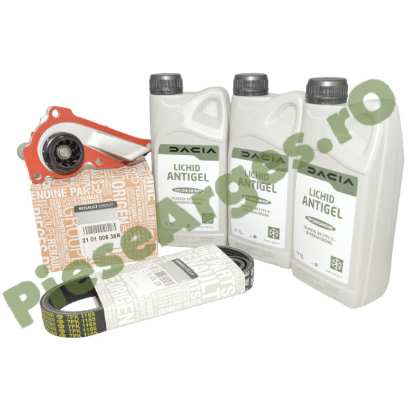 Pachet Revizie Pompă Apă 1.0 TCe / ECO-G 100 Logan 3, Sandero 3, Duster 2, Logan 2, Sandero 2, Original Renault